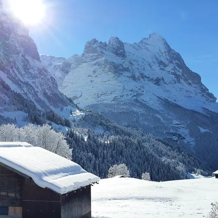 Lohnerhus-1 By Interhome * Grindelwald
