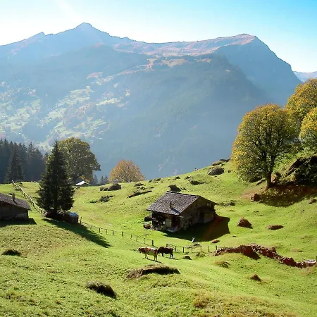 Apartment Lohnerhus-1 By Interhome *