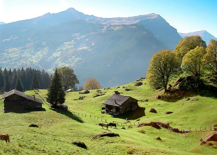 Lägenhet Lohnerhus-1 By Interhome *